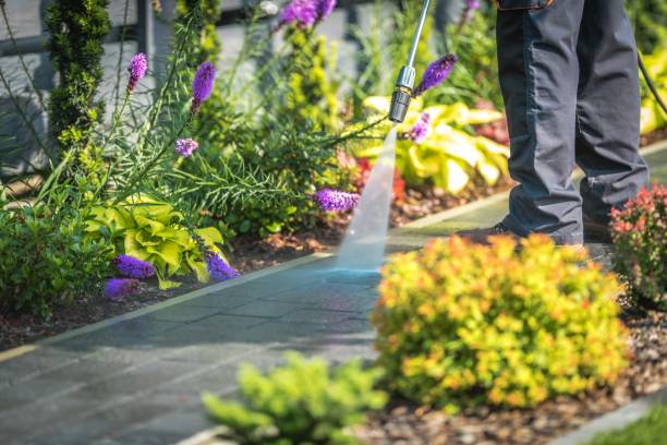 Best Boat and Dock Cleaning  in Poolesville, MD
